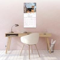 Airedale Terrier Kalender 2026 - thumbnail