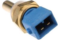 HEMA Fotolijst 50x70cm notenkleur massief hout hout (hout) - thumbnail