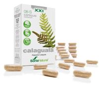 Soria Natural 8-S Calaguala XXI 30 Capsules - thumbnail