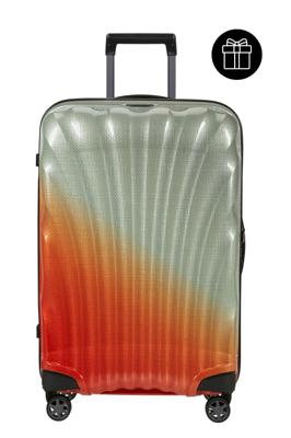 C-Lite Spinner 69 LTD Gradient Sage