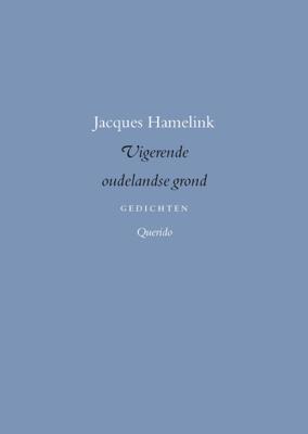 Vigerende oudelandse grond - Jacques Hamelink - ebook