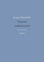 Vigerende oudelandse grond - Jacques Hamelink - ebook - thumbnail