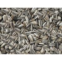 Vogelvoer Deli Nature Premium - thumbnail