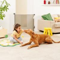 Intrekbare barrière Safe & Roll BADABULLE grijs - thumbnail