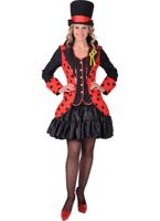 Slipjas kever - lieveheersbeestje - thumbnail