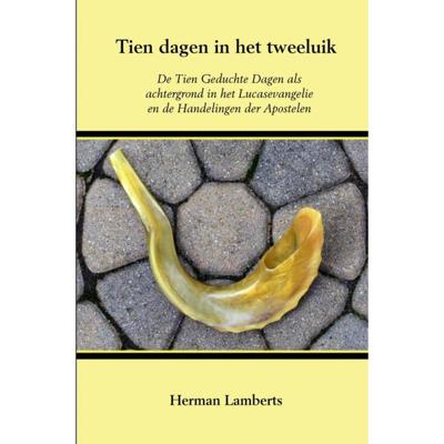 Tien dagen in het tweeluik - Herman Lamberts - Paperback (9789463984805)