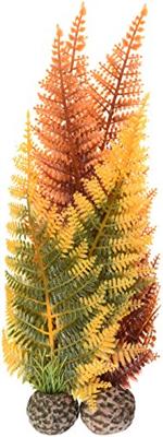 Herfstvaren set 2 - Biorb