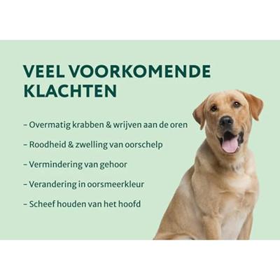 Dogsuppy Oorreiniger