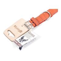 Hondenhalsband Gloria Oasis Rood (1,5 x 40 cm) - thumbnail