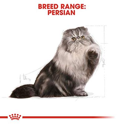 Royal Canin Persian Adult kattenvoer 4kg - thumbnail
