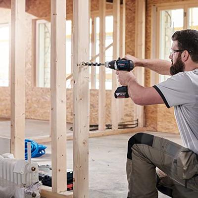 Bosch Accessoires Houtslangenboor, zeskant 18 x 160 x 235 mm, d 11,1 mm 1st - 2608597631