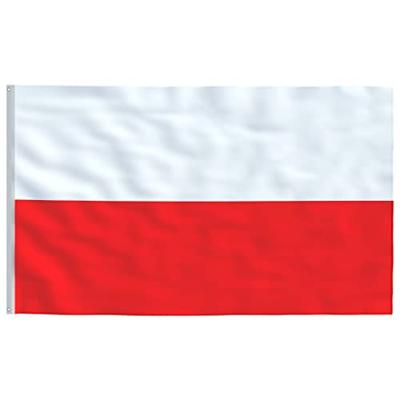 VidaXL Vlag met vlaggenmast polen 5,5 m aluminium