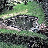 Start 250 voorgevormde vijver - thumbnail