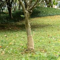 VidaXL Jute rol 200 g/m² 0,25x5 m 100% jute - thumbnail