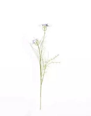 Kunst Tak Margriet Wit Buitengewoon de Boet - Buitengewoon de boet