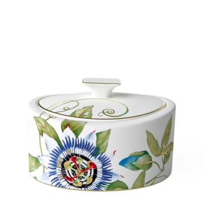 VILLEROY & BOCH - Amazonia Gifts - Porseleinen doosje