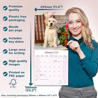 Labrador Retriever Blond Kalender 2026