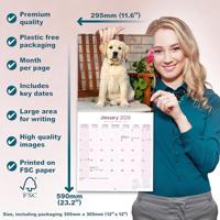 Labrador Retriever Blond Kalender 2026 - thumbnail