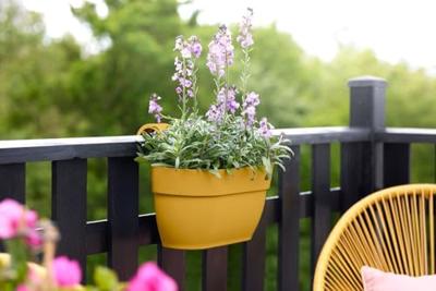 Elho Vibia Campana Medium Hangpot Geel - thumbnail