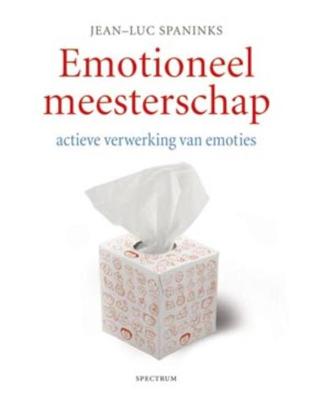 Emotioneel meesterschap - Jean-Luc Spaninks - ebook