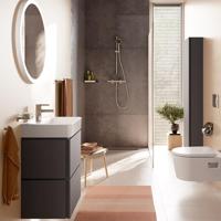 Hansgrohe Zesis S Wastafelmengkraan Chroom - thumbnail