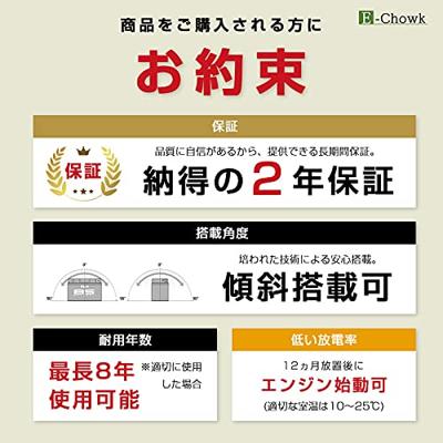 BS-BATTERY lithium-ion accu "bsli-03" battery li03 bs lithium