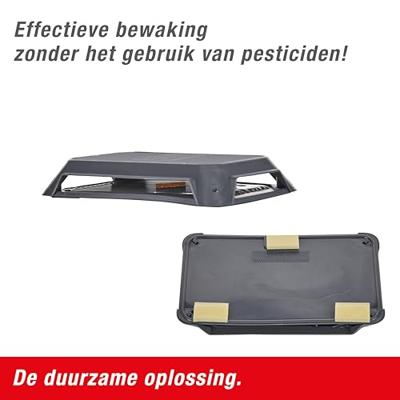 KAKKERLAKKENVAL | 2 stuks - thumbnail
