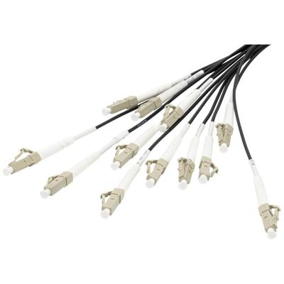 Digitus DK-2433CU030BK-BBB Glasvezel Optische vezel Aansluitkabel 30 m Zwart [12x LC-/UPC-stekker - 12x LC-/UPC-stekker] 50/125 µ Multimode OM4