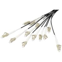 Digitus DK-2433CU030BK-BBB Glasvezel Optische vezel Aansluitkabel 30 m Zwart [12x LC-/UPC-stekker - 12x LC-/UPC-stekker] 50/125 µ Multimode OM4 - thumbnail