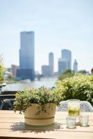 Elho bloempot Greenville Bowl 33cm Goudkleurig Zand - thumbnail