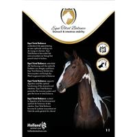 Excellent Horse Total Balance 1 l - thumbnail
