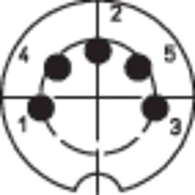 BKL Electronic 0202010 DIN-connector Bus, recht Aantal polen: 5 Zilver 1 stuk(s)