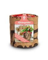 Baza Aardbei tuinkeukentje extra zoete Aardbei (Fragaria) - thumbnail