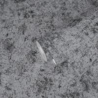 Livingwalls Profitex 2022 - Zilver - Gipslook - 389696 - thumbnail