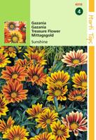 Zaden Gazania Sunshine gemengd Hortitops - Hortitops - thumbnail