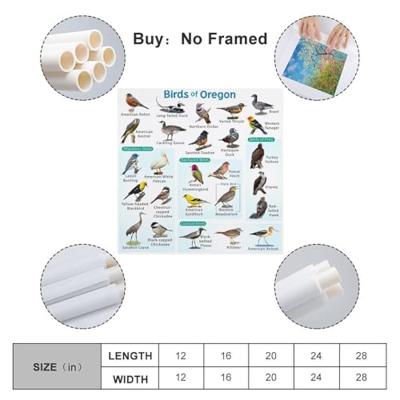 Samsung Galaxy A56 17 cm (6.7") Dual SIM Android 15 5G USB Type-C 8 GB 128 GB 5000 mAh Roze