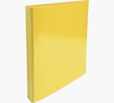 Exacompta Iderama ringmap, voor ft A4, 4 ringen van 30 mm, geassorteerde kleuren