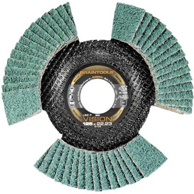 Rhodius 207085 LSZ F VISION Lamellenschijf Diameter 115 mm 1 stuk(s)