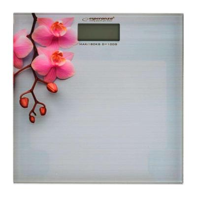 Esperanza EBS010 weegschaal Elektronische weegschaal