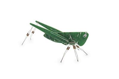 Whadda WSAK207 Sprinkhaan Uitvoering (module): Bouwpakket 3 V Whadda WSAK207 Sprinkhaan Uitvoering (module): Bouwpakket 3 V