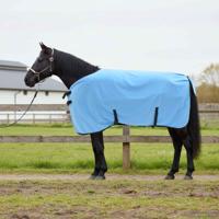 VidaXL Paardendeken volledige aqua polyester - thumbnail