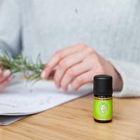 Primavera Rozemarijn verbenon plant 5 Milliliter - thumbnail