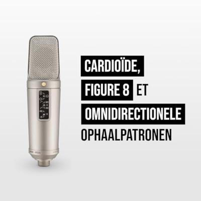 Rode NT2 A Condensator Studio Microfoon Rode NT2 A Condensator Studio Microfoon