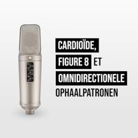 Rode NT2 A Condensator Studio Microfoon - thumbnail