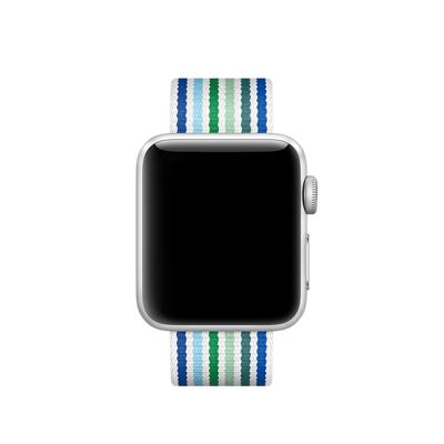 Apple Woven Nylon Apple Watch 38mm / 40mm / 41mm Blue Stripe