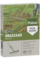 Pokon Graszaad Herstel 250g - thumbnail