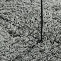 Vloerkleed shaggy hoogpolig modern 60x110 cm groen - thumbnail