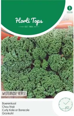 Zaden Boerenkool Westlandse Herfst laat type Hortitops - Hortitops