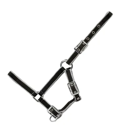 USG Veulenhalster zwart maat:veulen