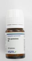 VSM Ruta graveolens D6 200 Tabletten - thumbnail